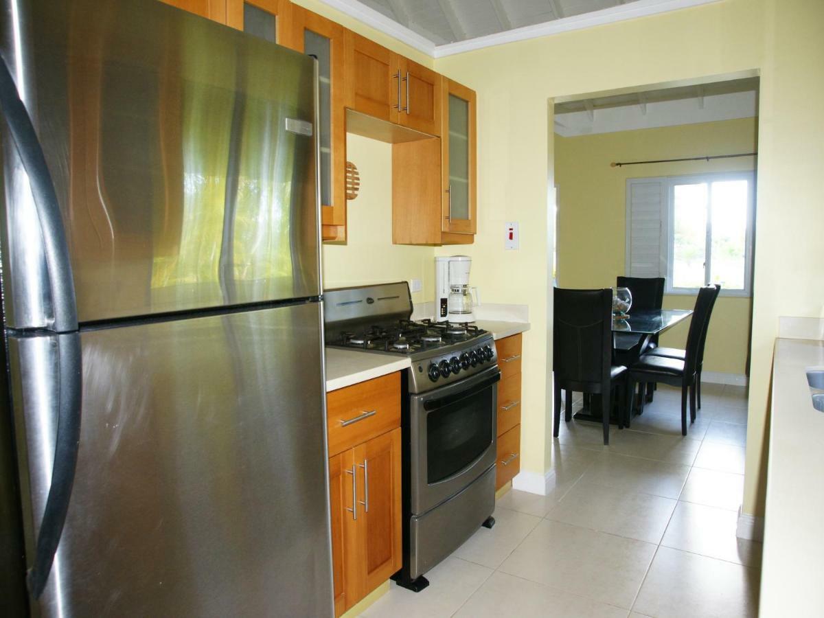 Jamnick Vacation Rentals - Richmond, St Ann, Jamaica Очо-Ріос Екстер'єр фото